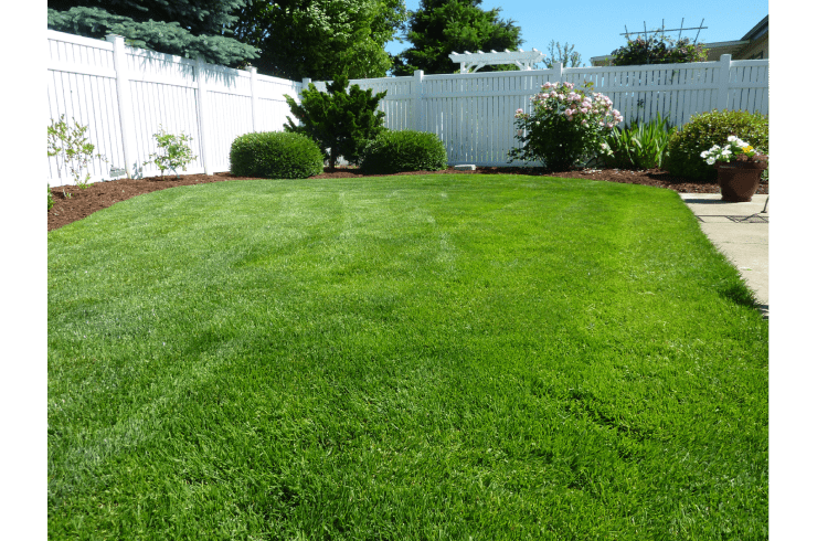 C & M Landscaping