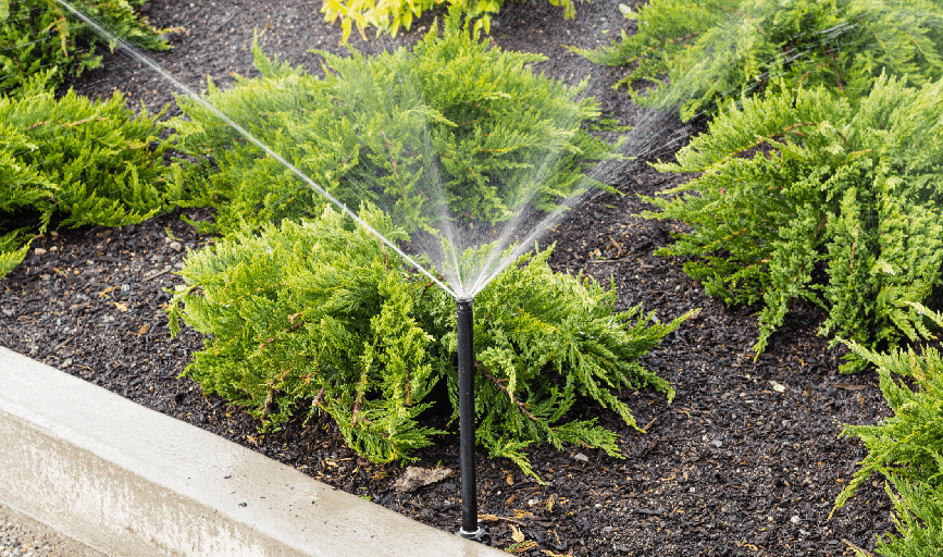 C & M Landscaping