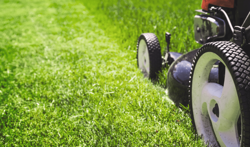 Lawn Maintenance